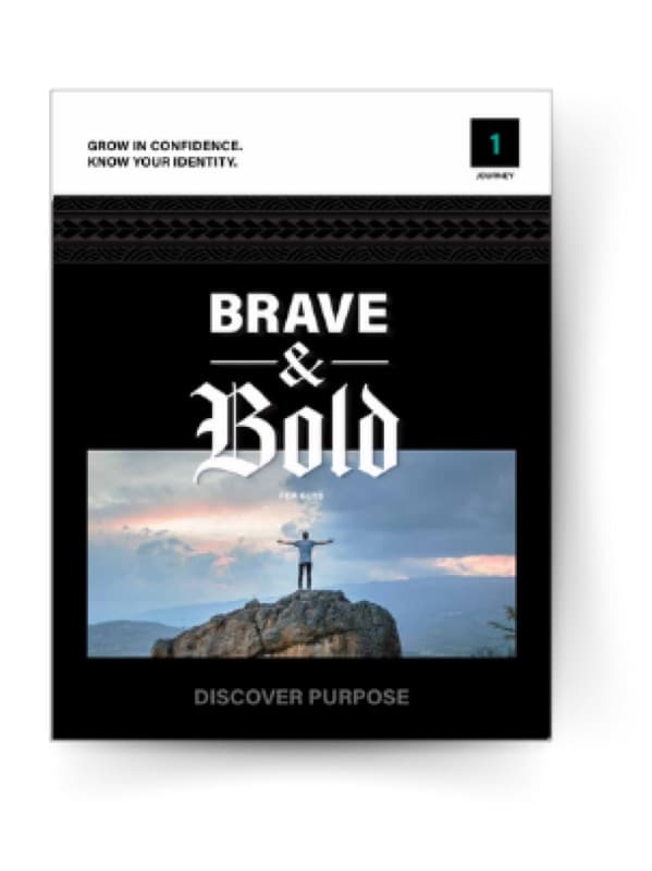 Brave & Bold, Volume 1