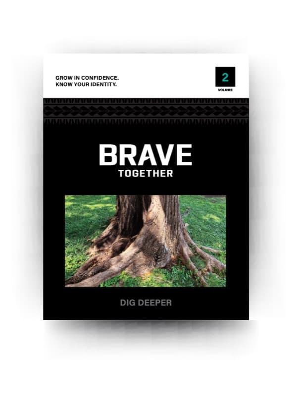 Brave Together, Volume 2, Classic edition