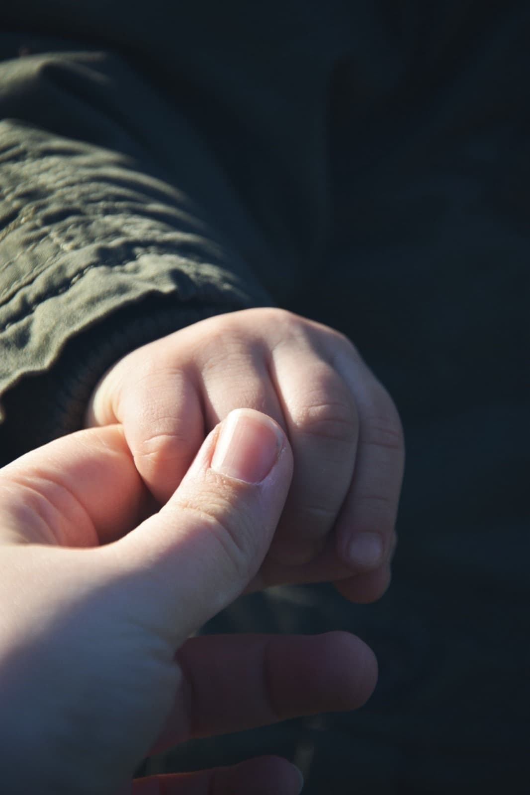 An adult hand holding a small child’s hand, close up in warm low evening light
